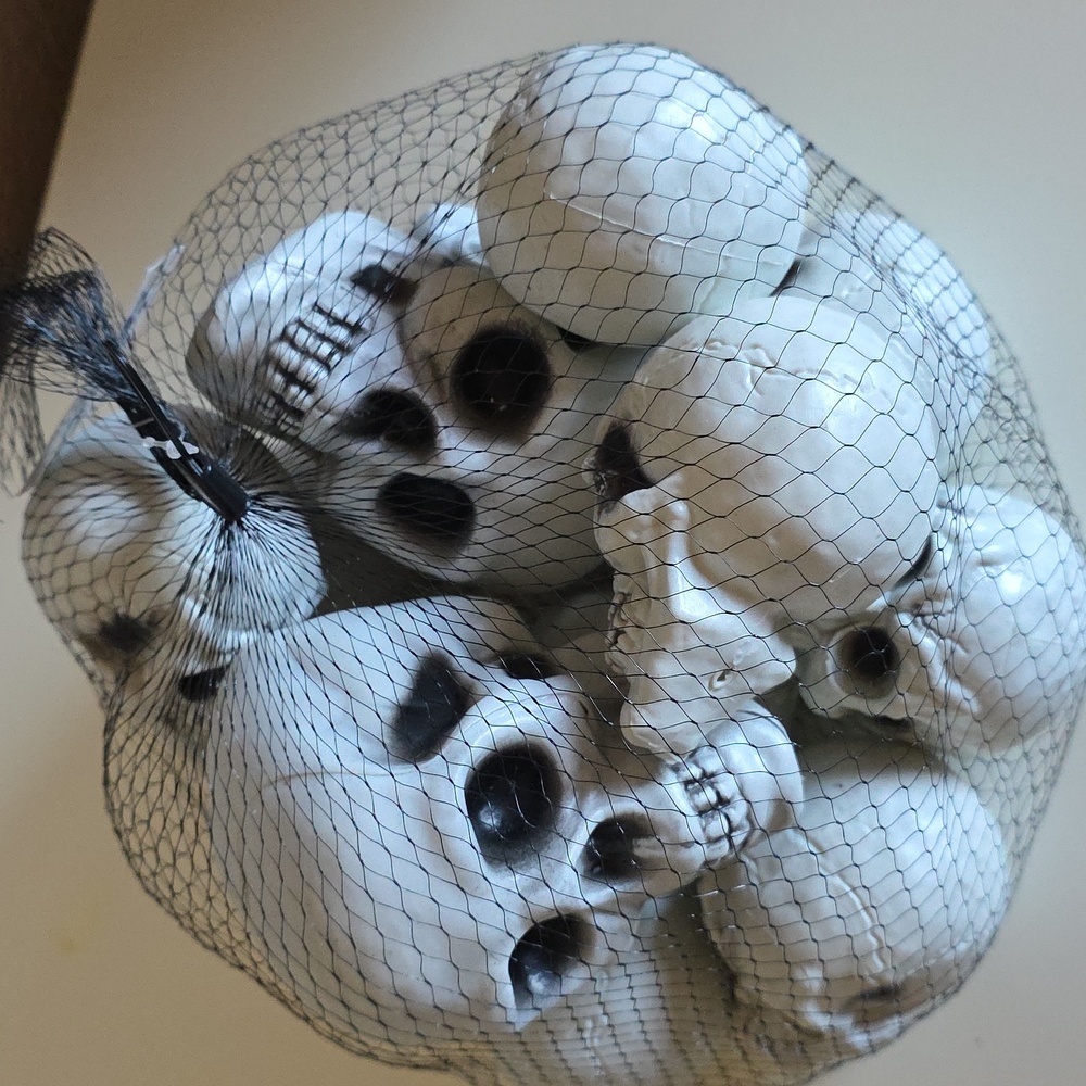 Nordstrom White Skull Decor Bigger Set